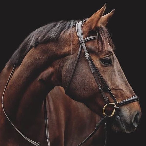 Serafina CB